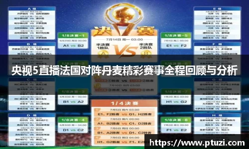 央视5直播法国对阵丹麦精彩赛事全程回顾与分析